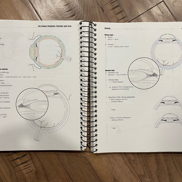 "The Human Organism: Function and Form" Spiral Book - Picture 5 of 10